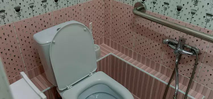 Meeting Diverse Needs With Accessible Restroom Solutions in Fishers, IN